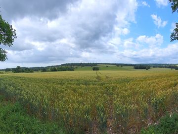 The view from the site
