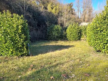 Hedges around the pitches for shelter and privacy
