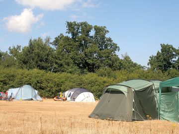 Grass pitches