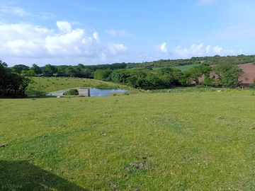Well field