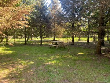On-site picnic area