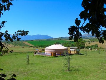 Gorgeous space around the yurt