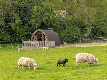 Camping pod