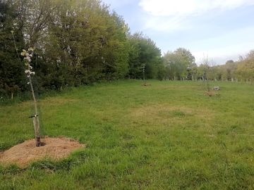 Hilltop campsite
