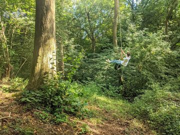 A rope swing over a gulley (added by manager 19 jul 2023)