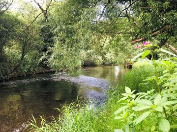 Paddle in the crystal-clear water of the river avon