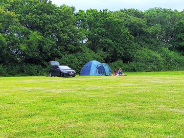 Small grass pitch