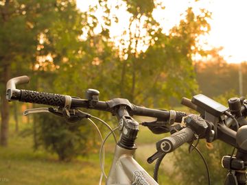 Bike rental on site