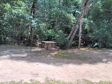 Pitches shaded by trees