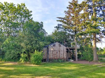 Cabin between the trees