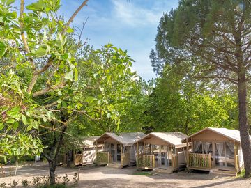 Tents among the trees