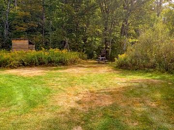 Spacious grounds backed by greenery