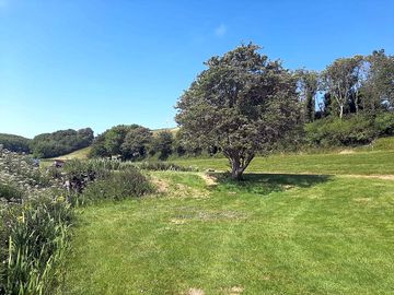 Views over the grassy grounds