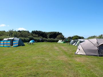 Spacious pitches at the campsite (added by manager 23 apr 2019)