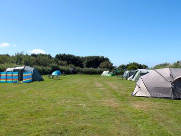 Spacious pitches at the campsite
