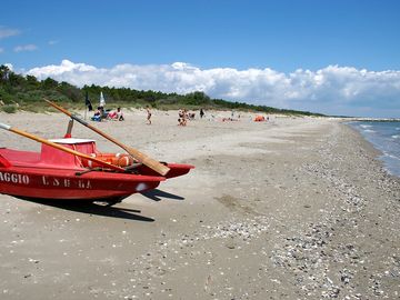 The beach near the site