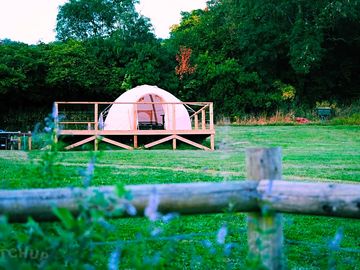 Spacious bell tent pitch surrounded by greenery