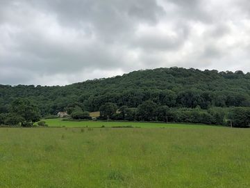 View from the site to coaley wood (added by manager 11 jul 2021)