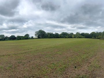 Camping field set in woodland