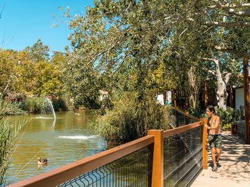 Laguna con ejemplares autóctonos