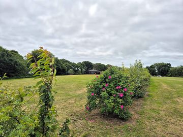 Pitches are not allocated so guests can choose where they would like to set up!