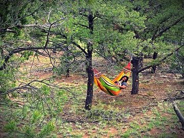 Hammocks for rent