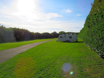 Pitches sheltered by hedges