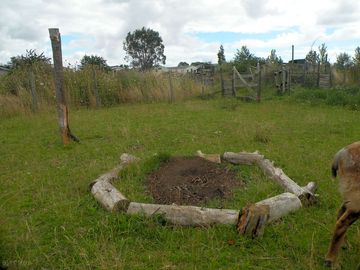 Paddock pitches