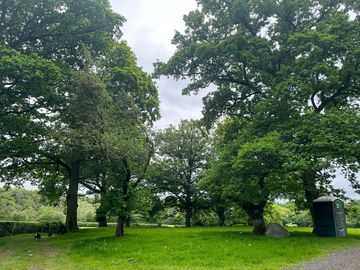 Plenty of greenery