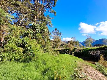 Camping area in natural surroundings