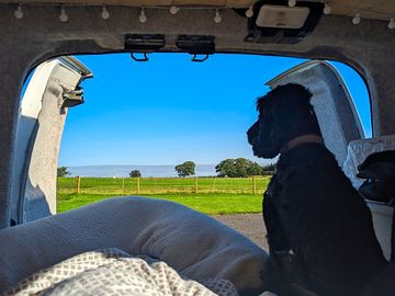 Dog friendly