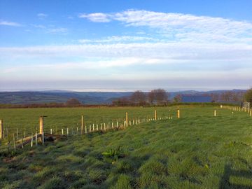 View from the pitches