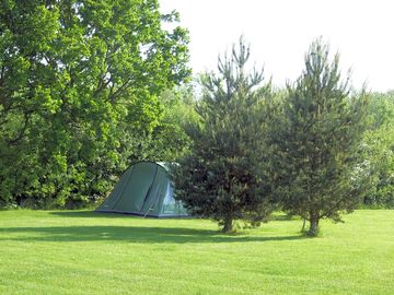 Grass pitches