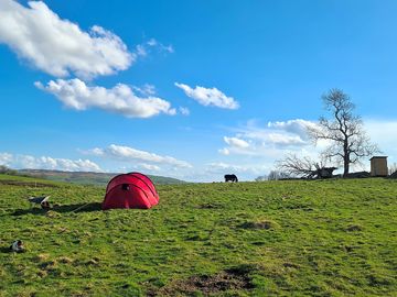 Camping field
