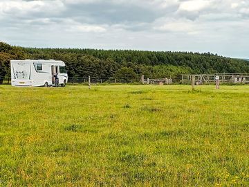 General view of the site