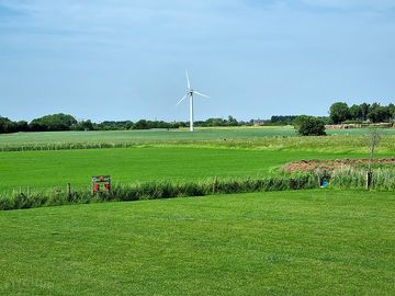 Grass pitches