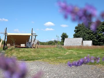 Across the site