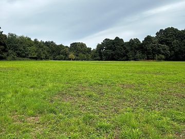 A limited number of pitches on a field with plenty of space