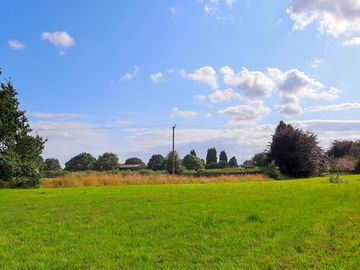 Views from site