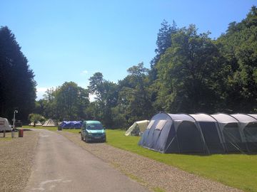 Middle of the first meadow