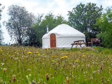 Bryn helyg yurt exterior