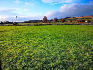 Grassy pitches