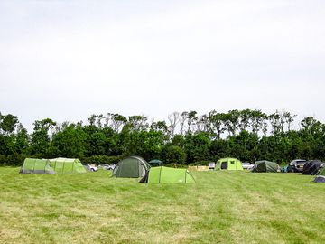 Tent field (added by manager 12 aug 2022)