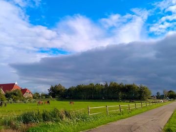 De boerderij