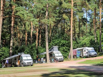 Grass pitches in the wood (added by manager 29 jul 2022)