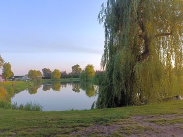 Loved observing the wildlife