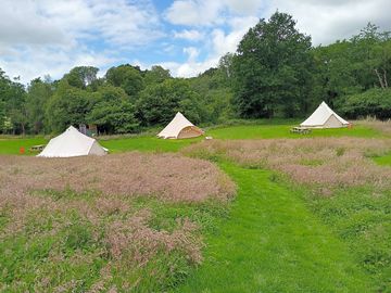 Bell tent area (added by manager 02 jul 2022)
