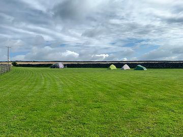 Grassy pitches