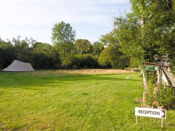 Grass pitches
