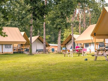 Safari tent